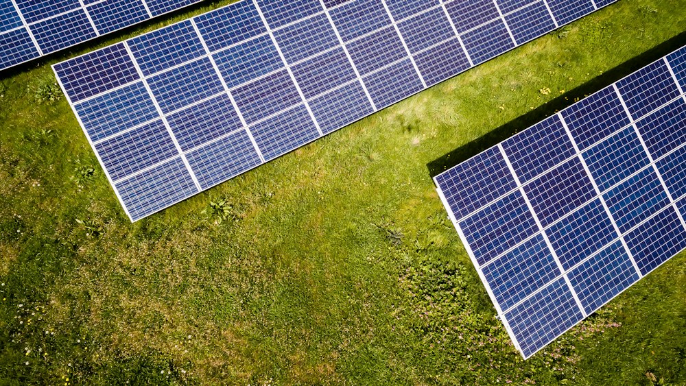 Chile farm agrivoltaics Hatch New Mexico